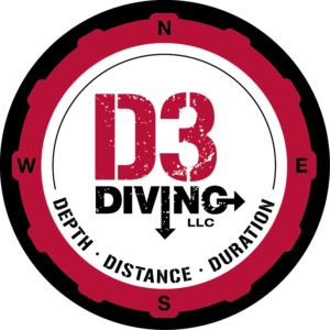 D3 LOGO FINAL